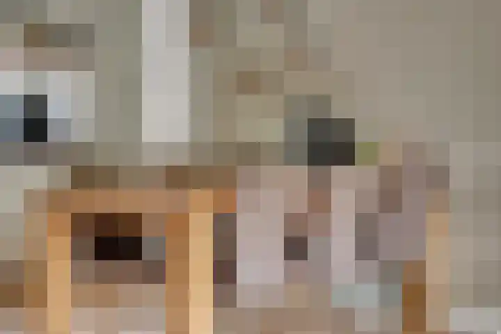 Heidehof 42 Losser thumbnail 17