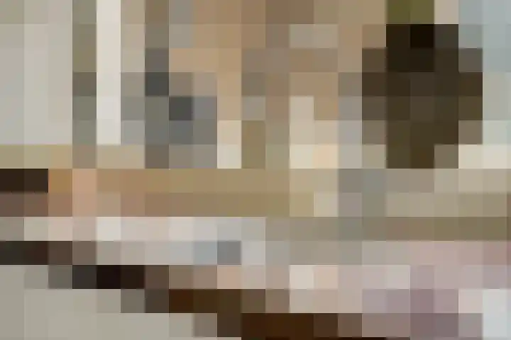 Heidehof 42 Losser thumbnail 18