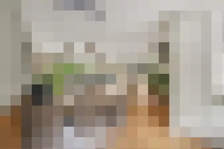 Heidehof 42 Losser thumbnail 19