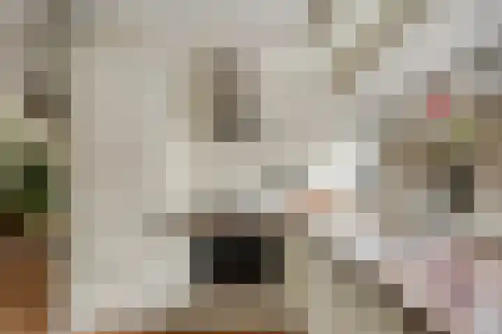 Heidehof 42 Losser thumbnail 20