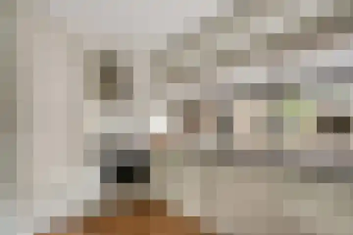 Heidehof 42 Losser thumbnail 21