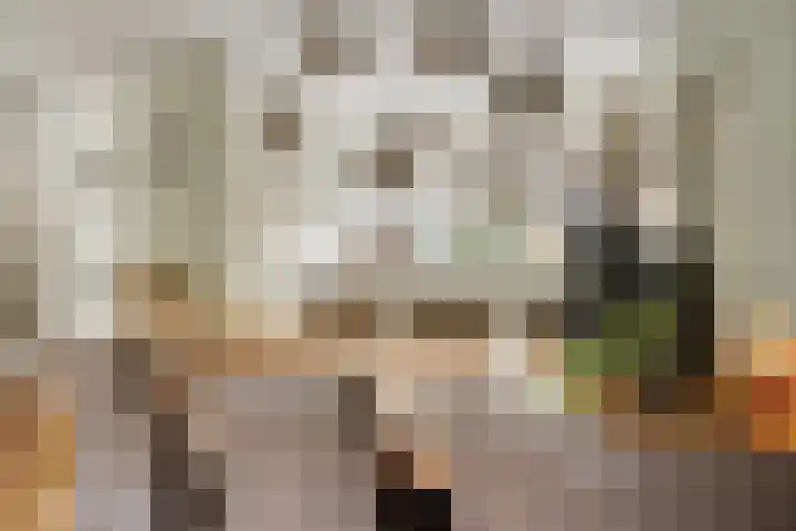 Heidehof 42 Losser thumbnail 23