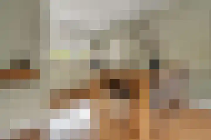 Heidehof 42 Losser thumbnail 24