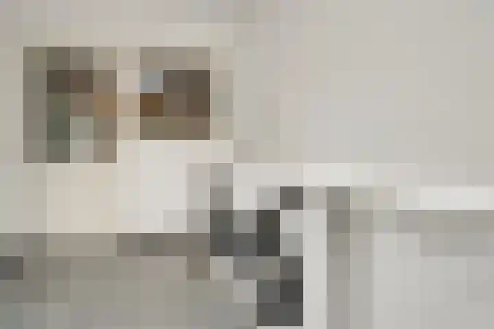 Heidehof 42 Losser thumbnail 26