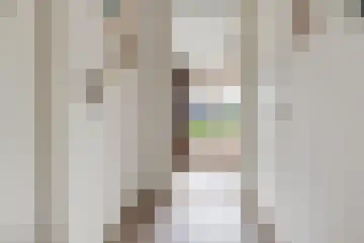 Heidehof 42 Losser thumbnail 28