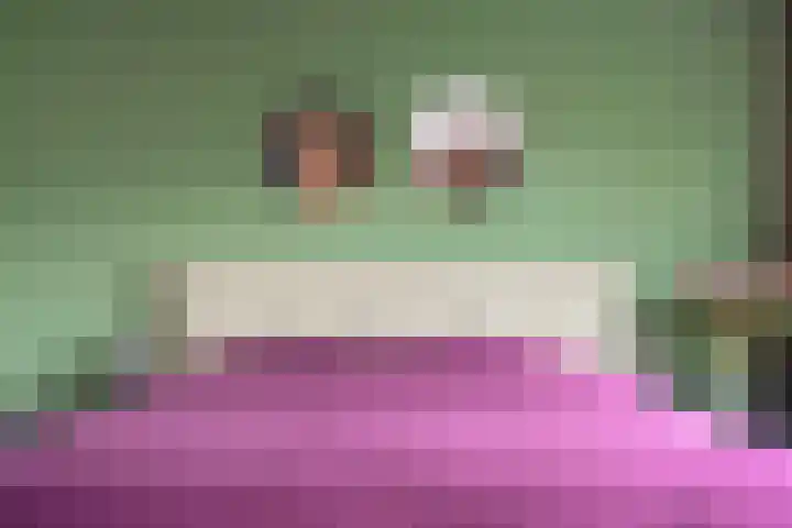 Heidehof 42 Losser thumbnail 29