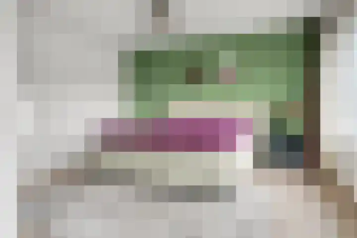 Heidehof 42 Losser thumbnail 30