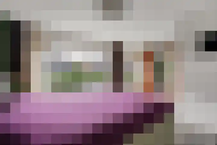 Heidehof 42 Losser thumbnail 31