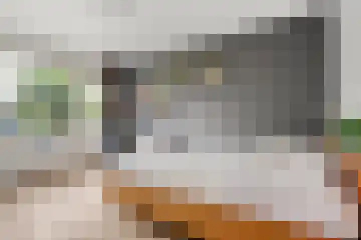 Heidehof 42 Losser thumbnail 35