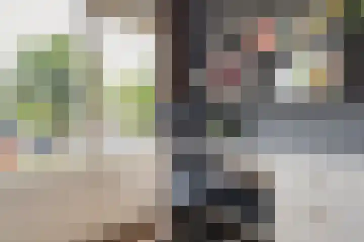 Heidehof 42 Losser thumbnail 36