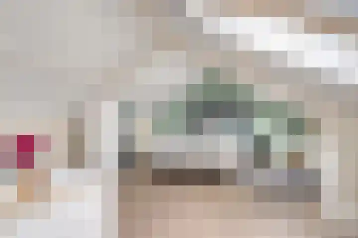 Heidehof 42 Losser thumbnail 42