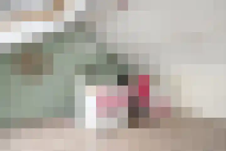 Heidehof 42 Losser thumbnail 43