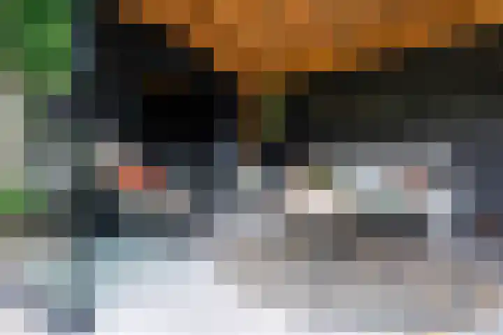Heidehof 42 Losser thumbnail 47