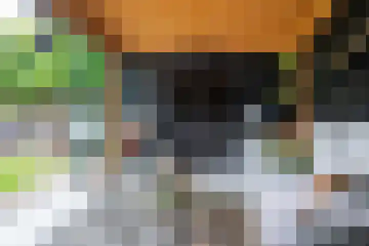 Heidehof 42 Losser thumbnail 49