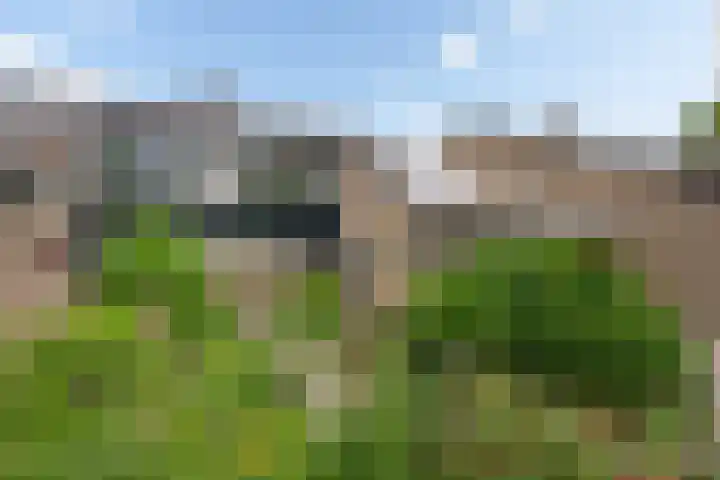 Heidehof 42 Losser thumbnail 5