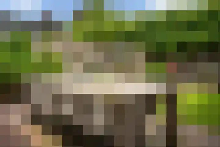Heidehof 42 Losser thumbnail 51