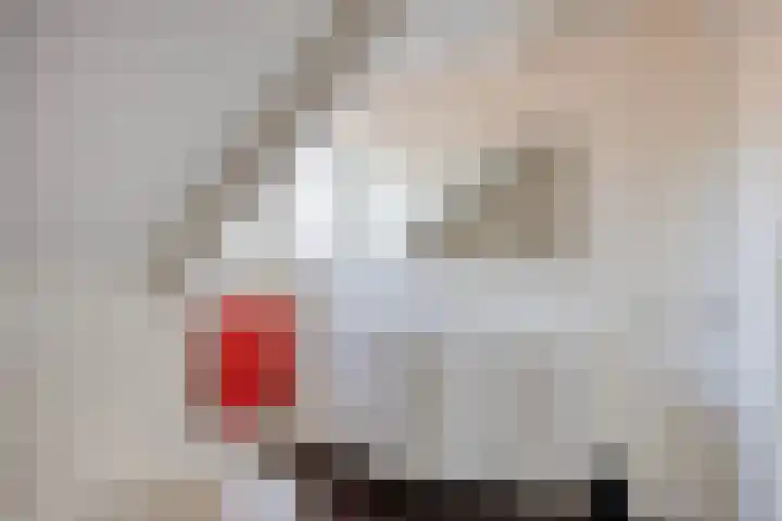 Heidehof 6 Odiliapeel thumbnail 30