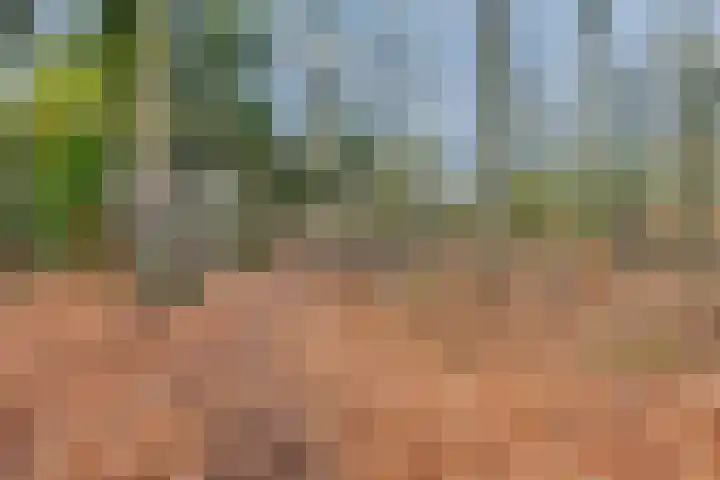 Heidehof 6 Odiliapeel thumbnail 42