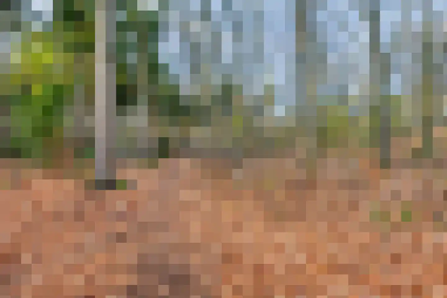 Heidehof 6 Odiliapeel thumbnail 42