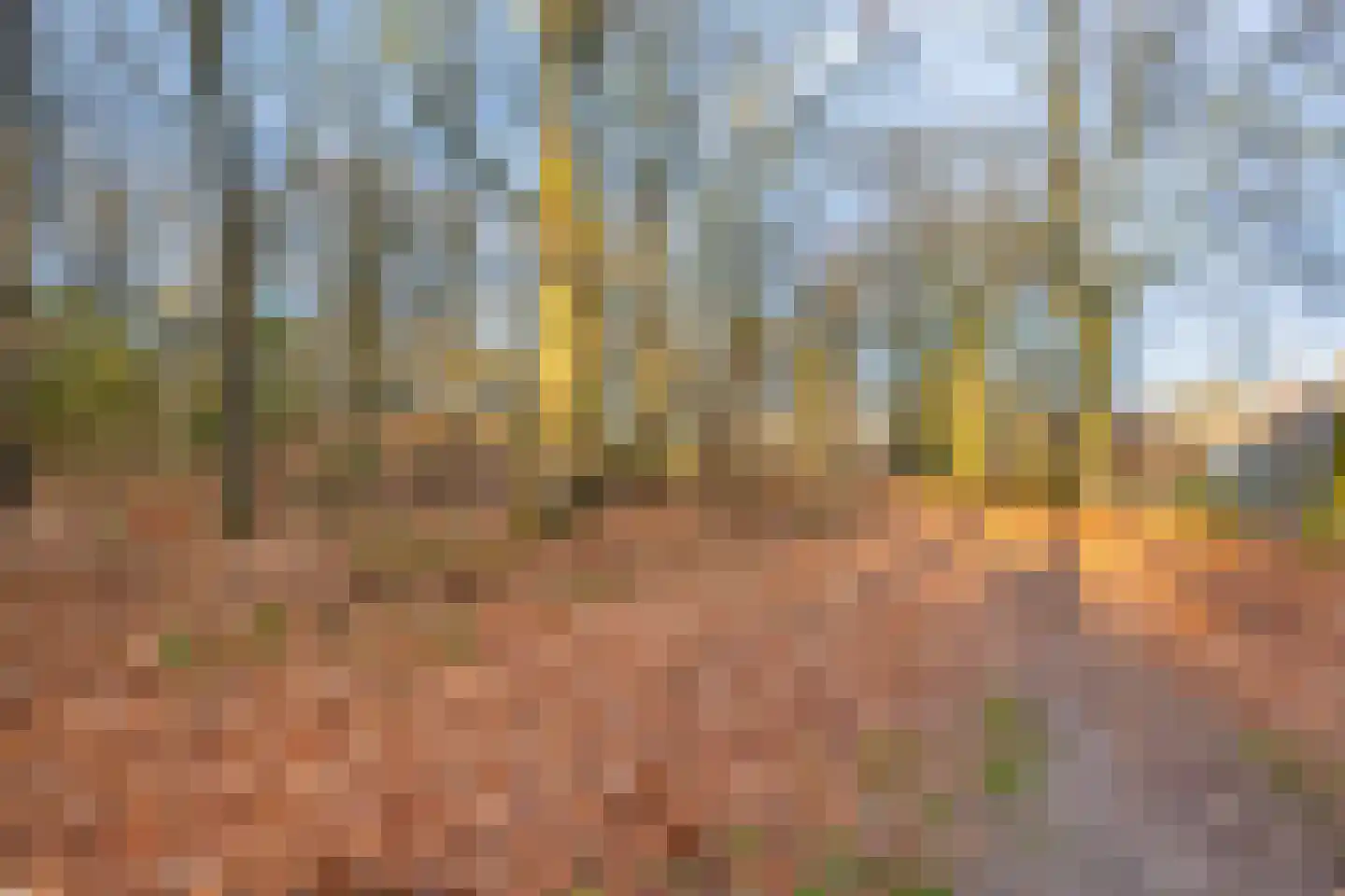 Heidehof 6 Odiliapeel thumbnail 43