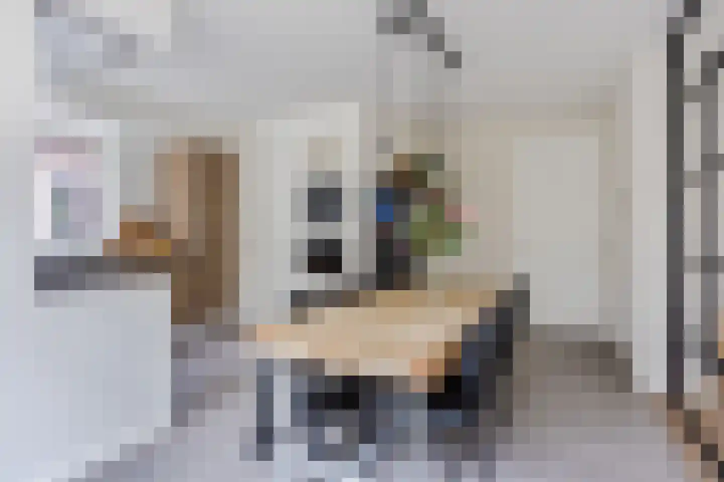 Heidehof 8 Odiliapeel thumbnail 15