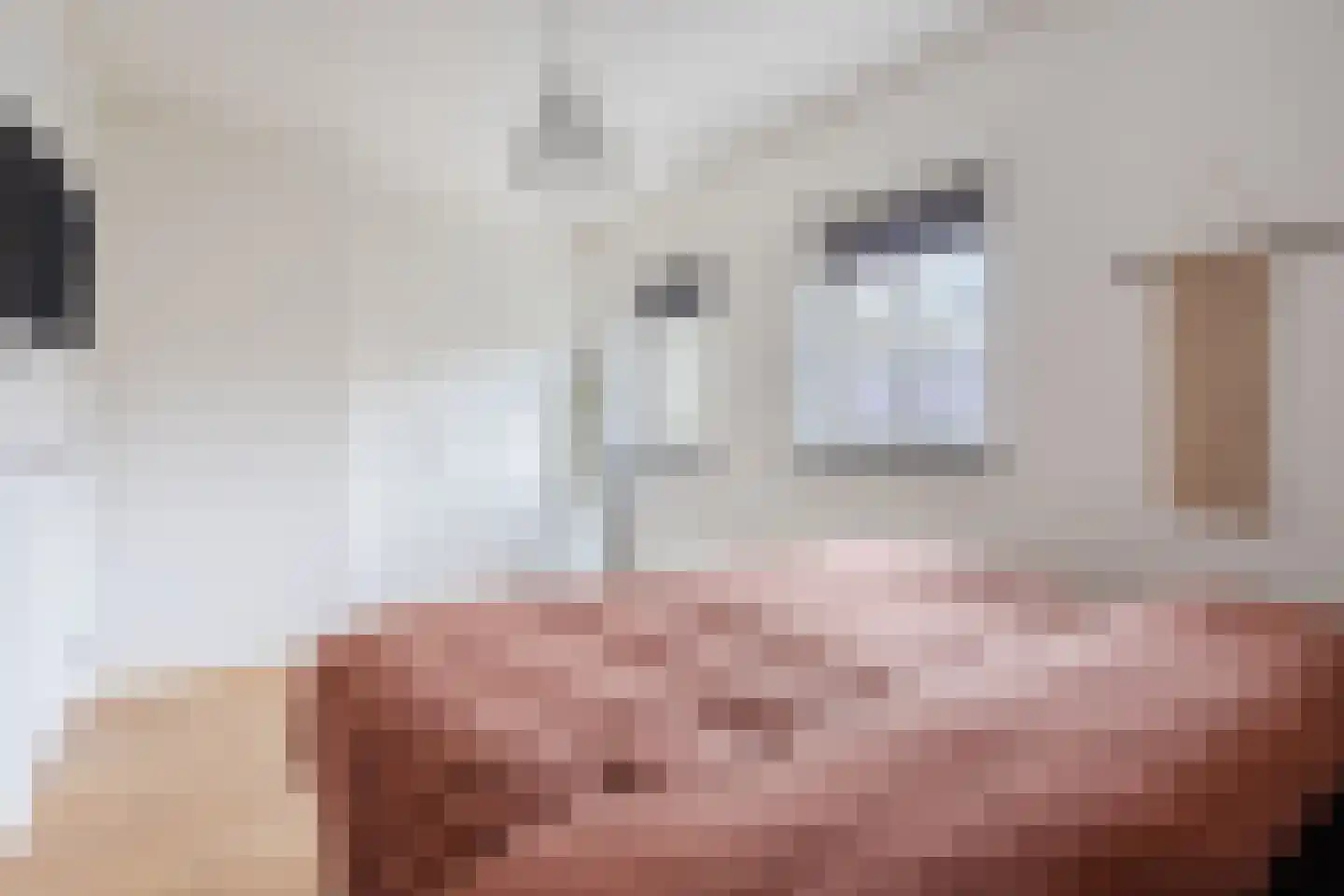 Heidehof 8 Odiliapeel thumbnail 30