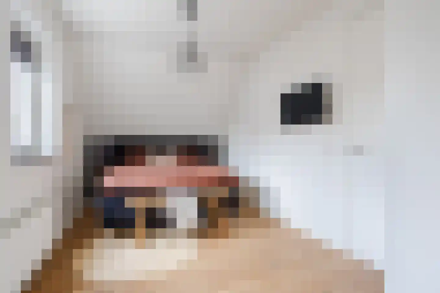 Heidehof 8 Odiliapeel thumbnail 31