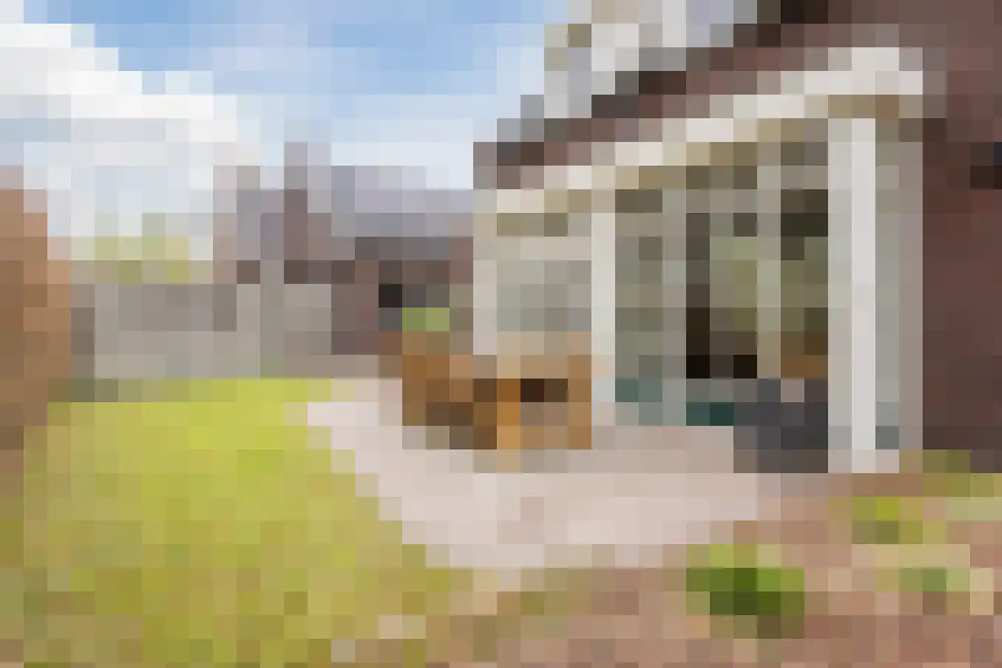 Heidehof 8 Odiliapeel thumbnail 45