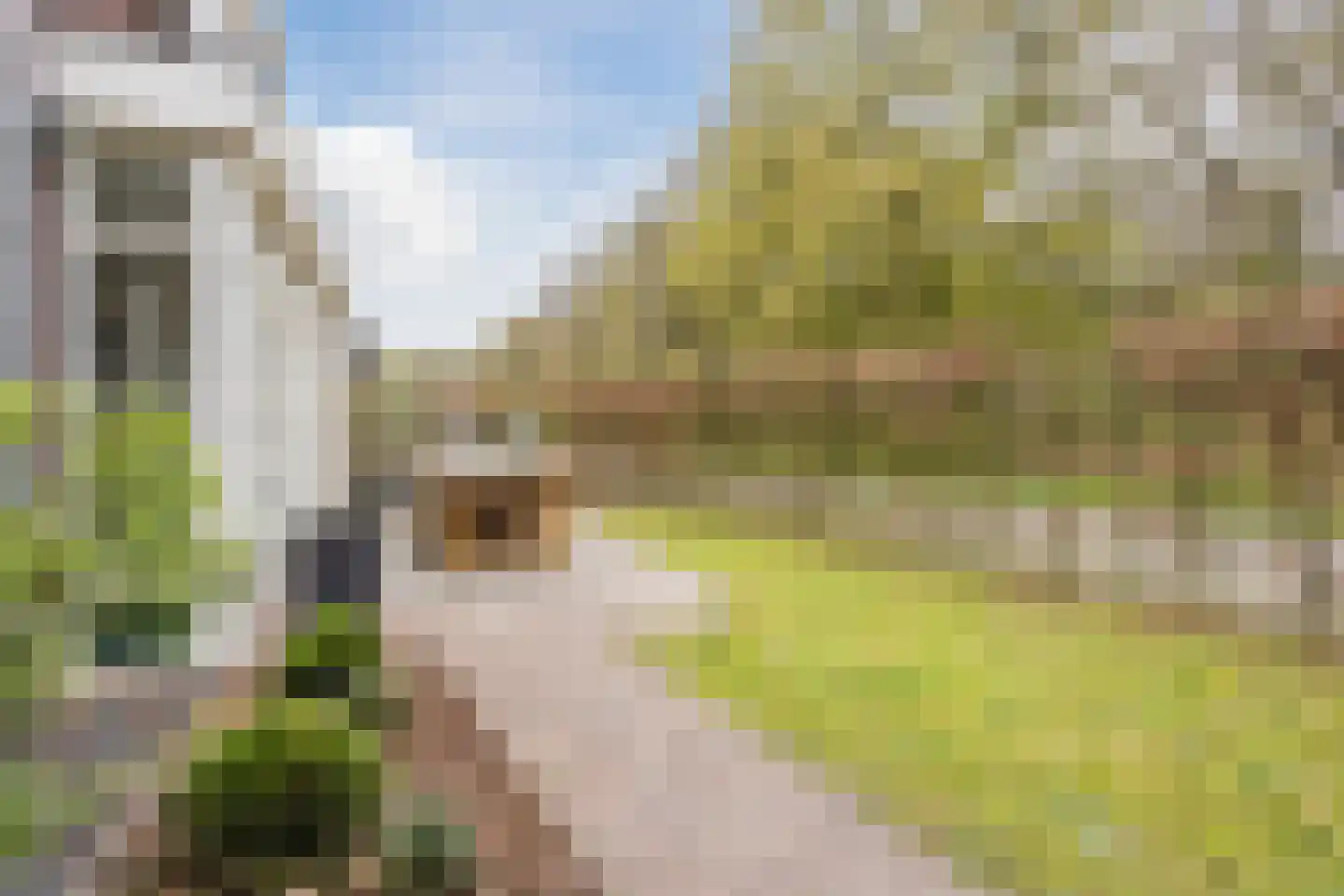 Heidehof 8 Odiliapeel thumbnail 46