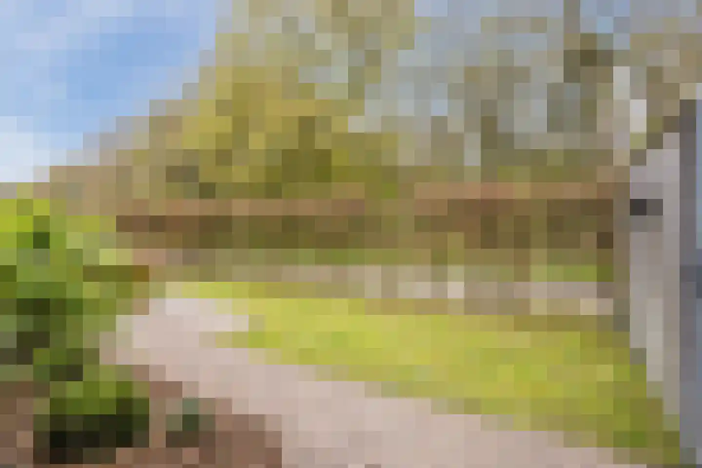 Heidehof 8 Odiliapeel thumbnail 47