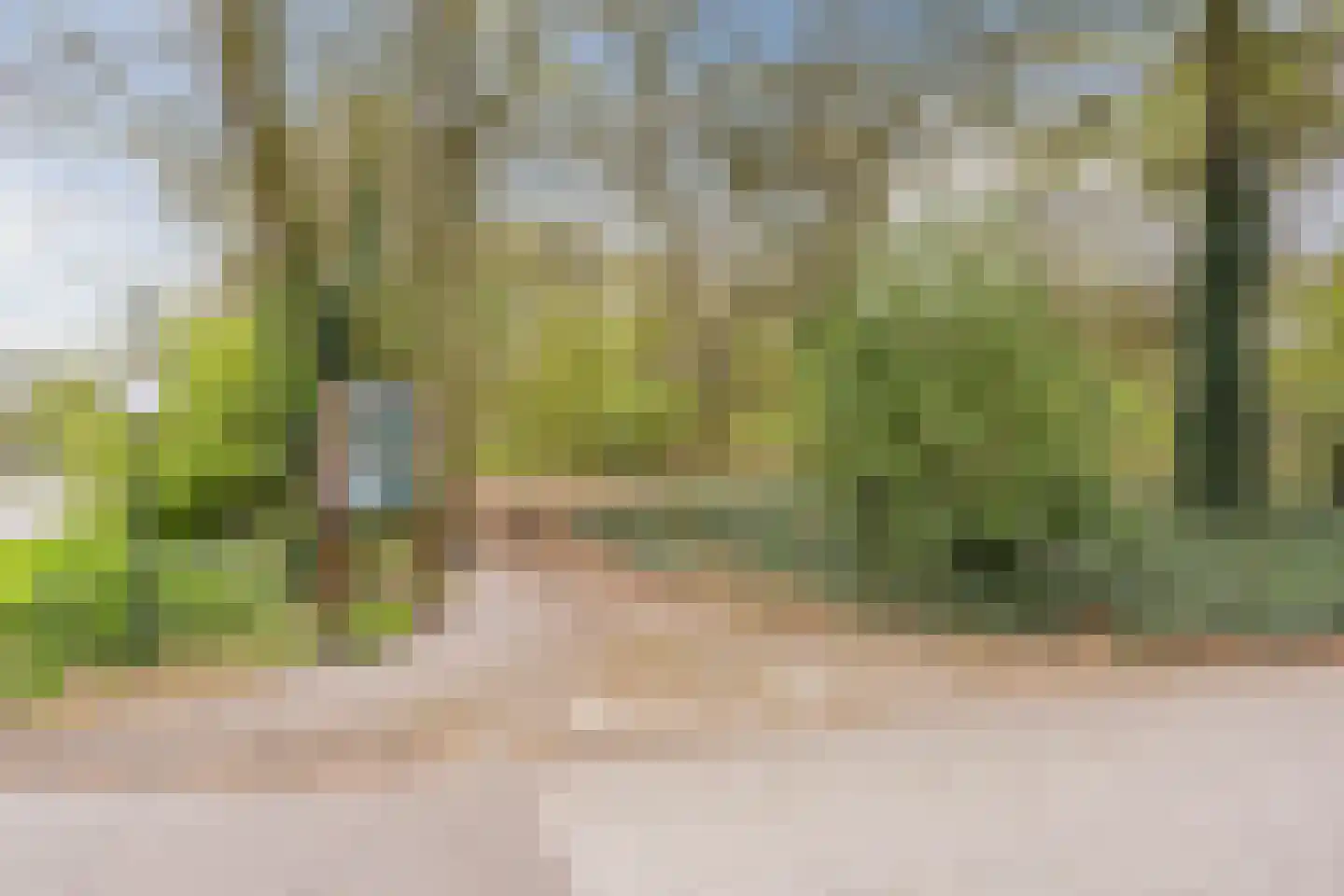 Heidehof 8 Odiliapeel thumbnail 55
