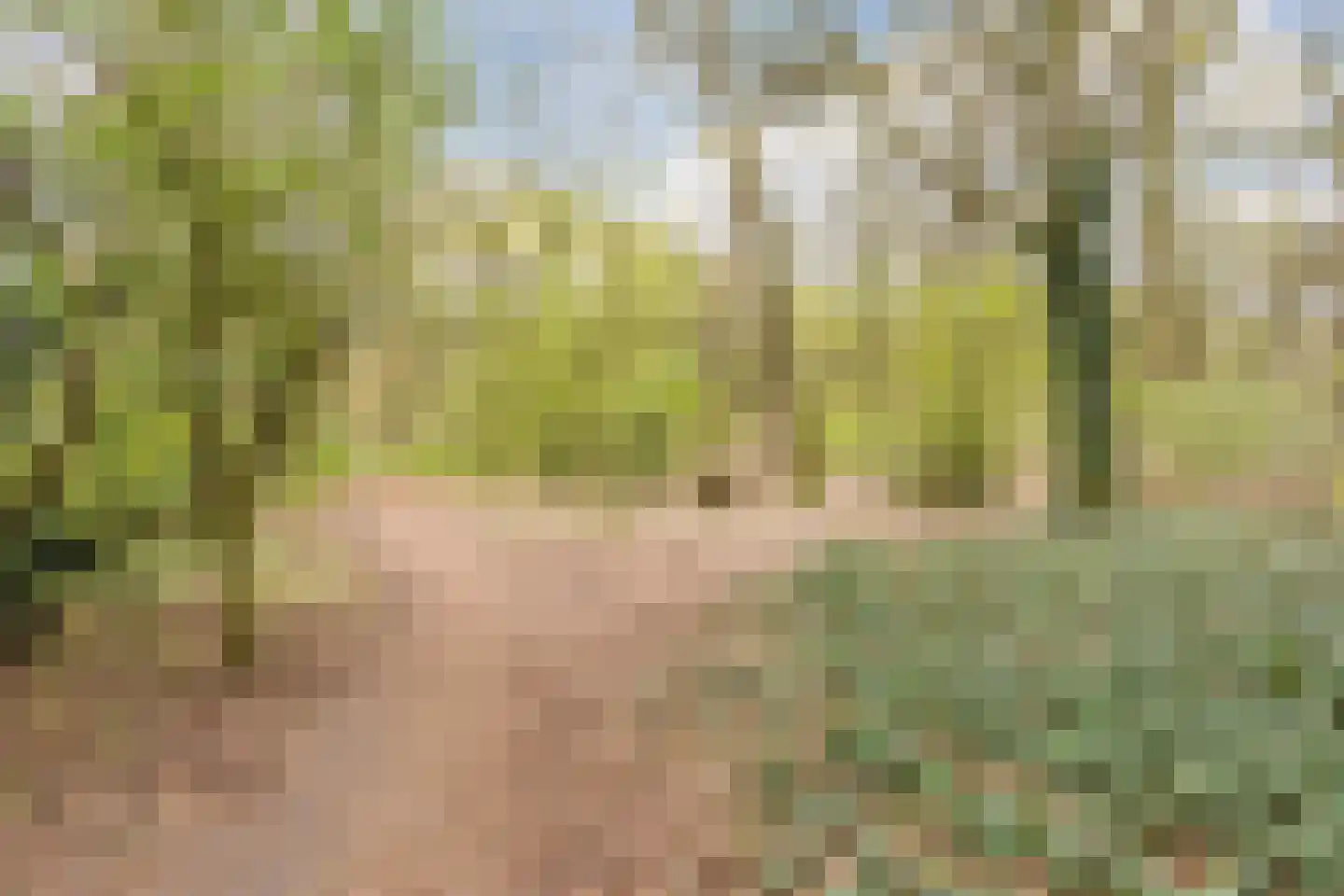 Heidehof 8 Odiliapeel thumbnail 56