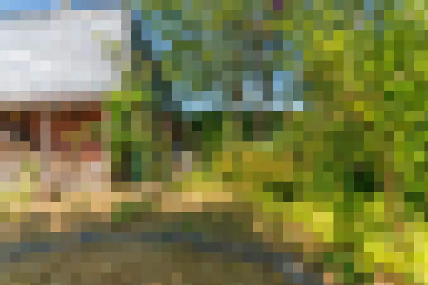 Heidehof 9 Gennep thumbnail 14