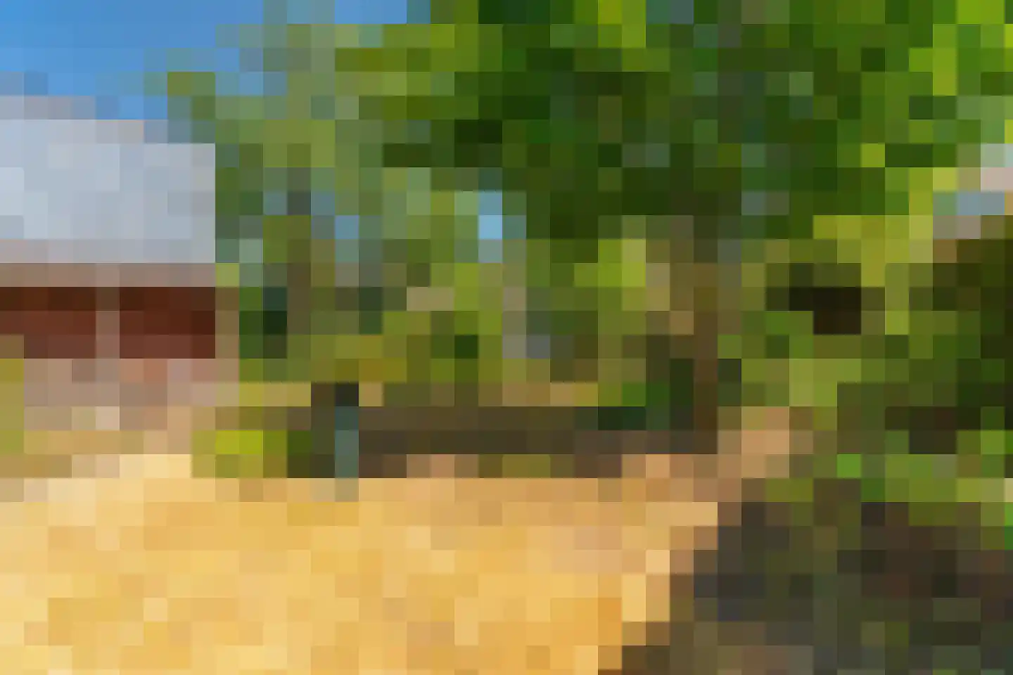 Heidehof 9 Gennep thumbnail 4