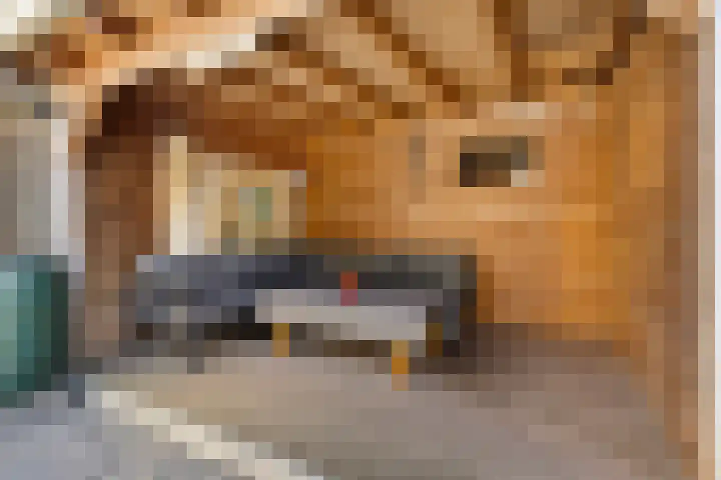 Heidehof 98 Made thumbnail 5