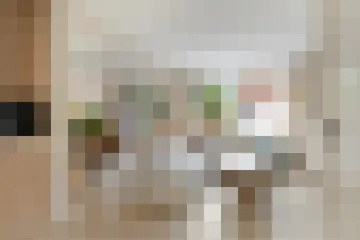 Heidekruid 12 Rotterdam thumbnail 11