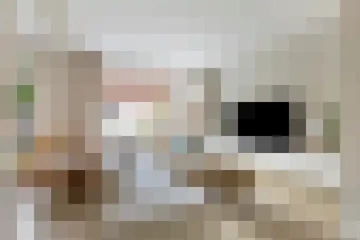 Heidekruid 12 Rotterdam thumbnail 12