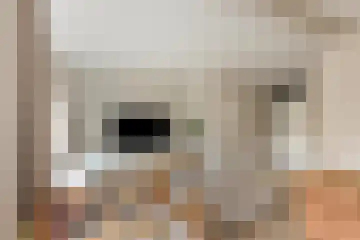 Heidekruid 12 Rotterdam thumbnail 13