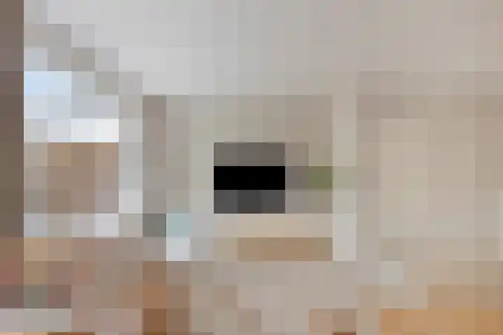Heidekruid 12 Rotterdam thumbnail 14