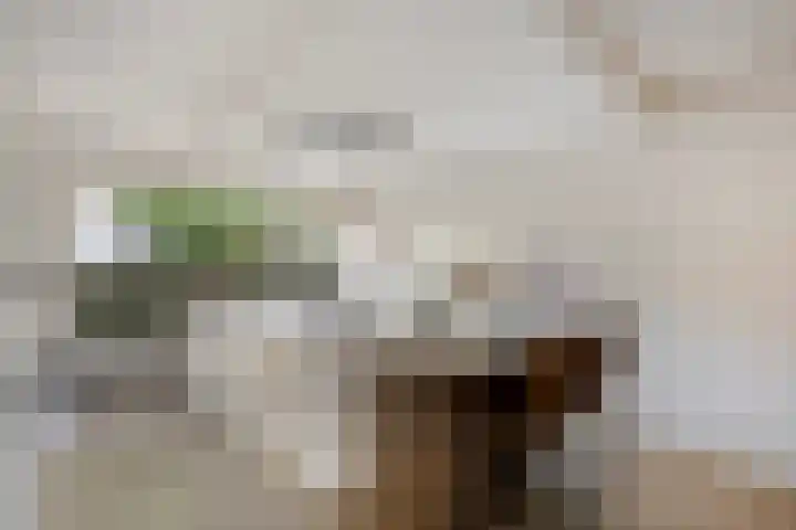 Heidekruid 12 Rotterdam thumbnail 17