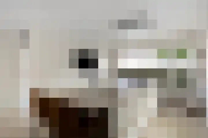 Heidekruid 12 Rotterdam thumbnail 18