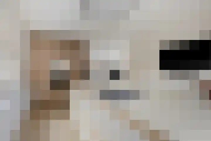 Heidekruid 12 Rotterdam thumbnail 19