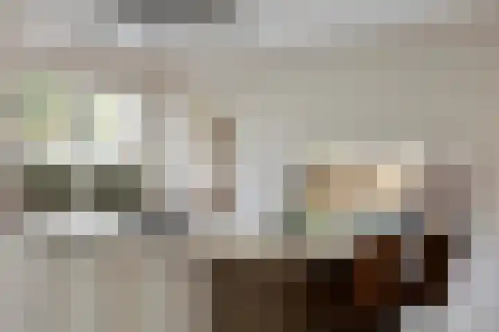Heidekruid 12 Rotterdam thumbnail 20