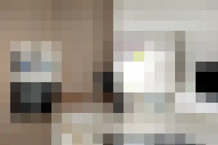Heidekruid 12 Rotterdam thumbnail 21