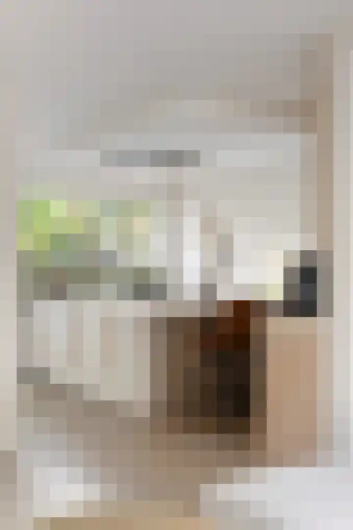 Heidekruid 12 Rotterdam thumbnail 24