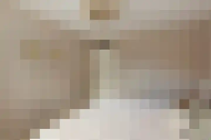 Heidekruid 12 Rotterdam thumbnail 29