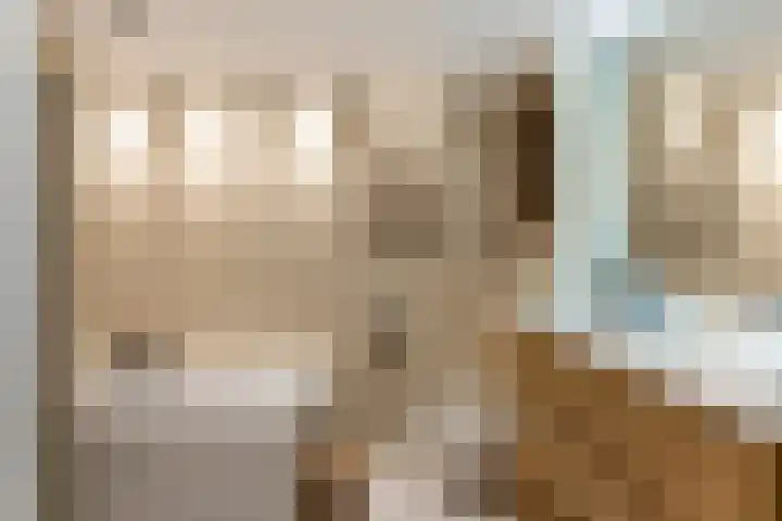 Heidekruid 12 Rotterdam thumbnail 30