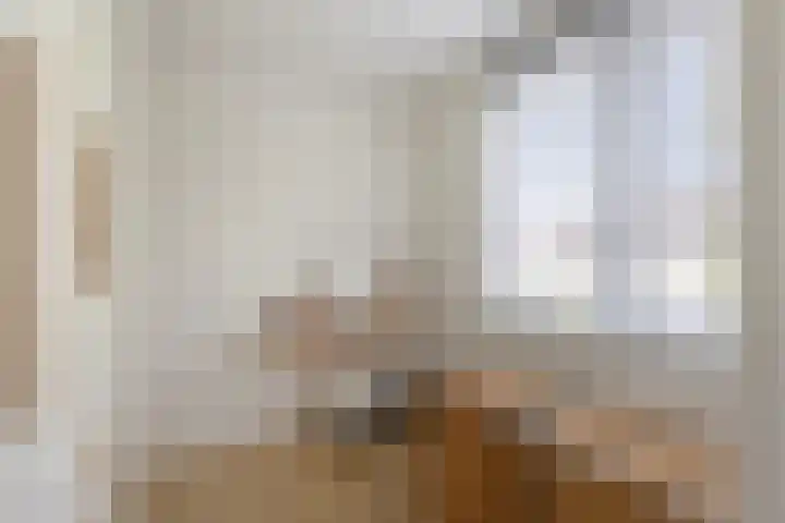 Heidekruid 12 Rotterdam thumbnail 37