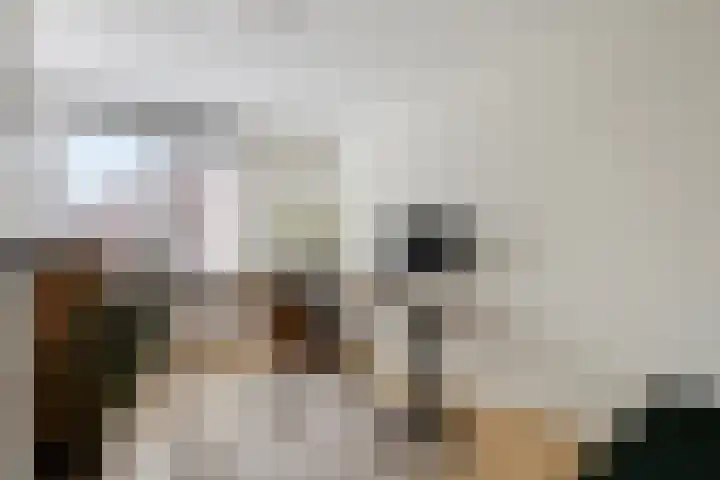 Heidekruid 12 Rotterdam thumbnail 38