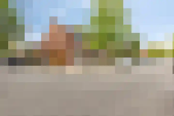 Heidekruid 12 Rotterdam thumbnail 4